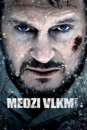 Medzi vlkmi