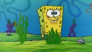 SpongeBob v šortkách Epizóda 18