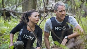 NCIS: New Orleans Epizóda 8