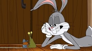 New Looney Tunes Epizóda 21