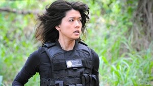 Hawaii 5.0 Odcinek 21