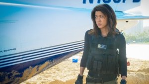 Hawaii 5.0 Odcinek 25