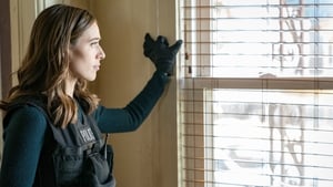Chicago P.D. Epizóda 11