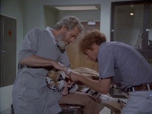 Quincy, M.E. Epizóda 1