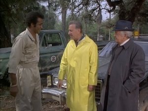 Quincy, M.E. Epizóda 9