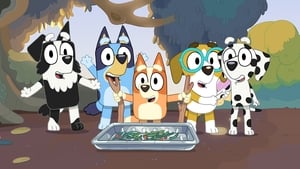 Bluey Hra na špiónov