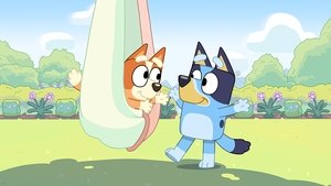 Bluey Epizóda 15