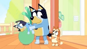 Bluey Epizóda 16