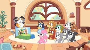 Bluey Epizóda 17