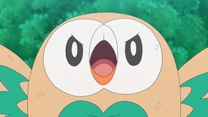 Pokémon Uskrzydlona bitwa!