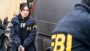 FBI Odcinek 13