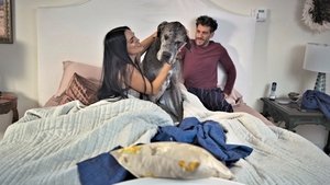 100 días para enamorarnos Epizóda 47