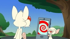 Animaniacs Odcinek 3