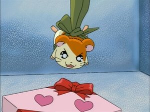 Hamtaro Odcinek 84