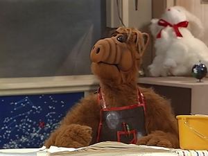 ALF Czy to nie robi moich brązowych oczu niebieskimi?