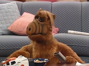 ALF Pozdrowienie do szefa