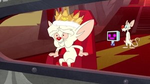 Animaniacs Odcinek 27