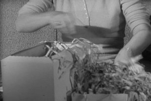 Alfred Hitchcock uvádí 23. epizoda