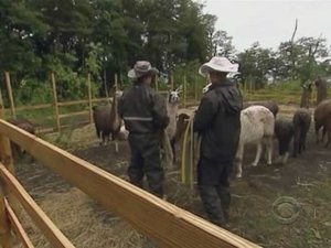 The Amazing Race Epizóda 2