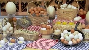 Top Chef Epizóda 12